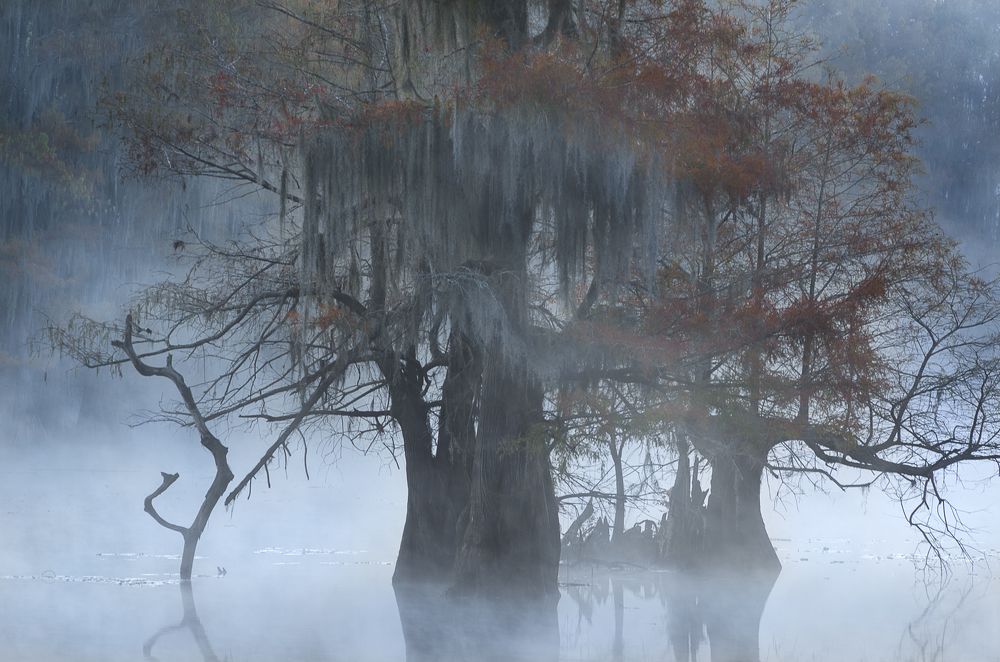 Photograph by Екатерина Сысоева