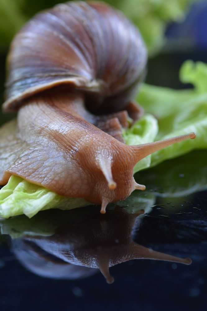 Photograph by Irina Nazarova