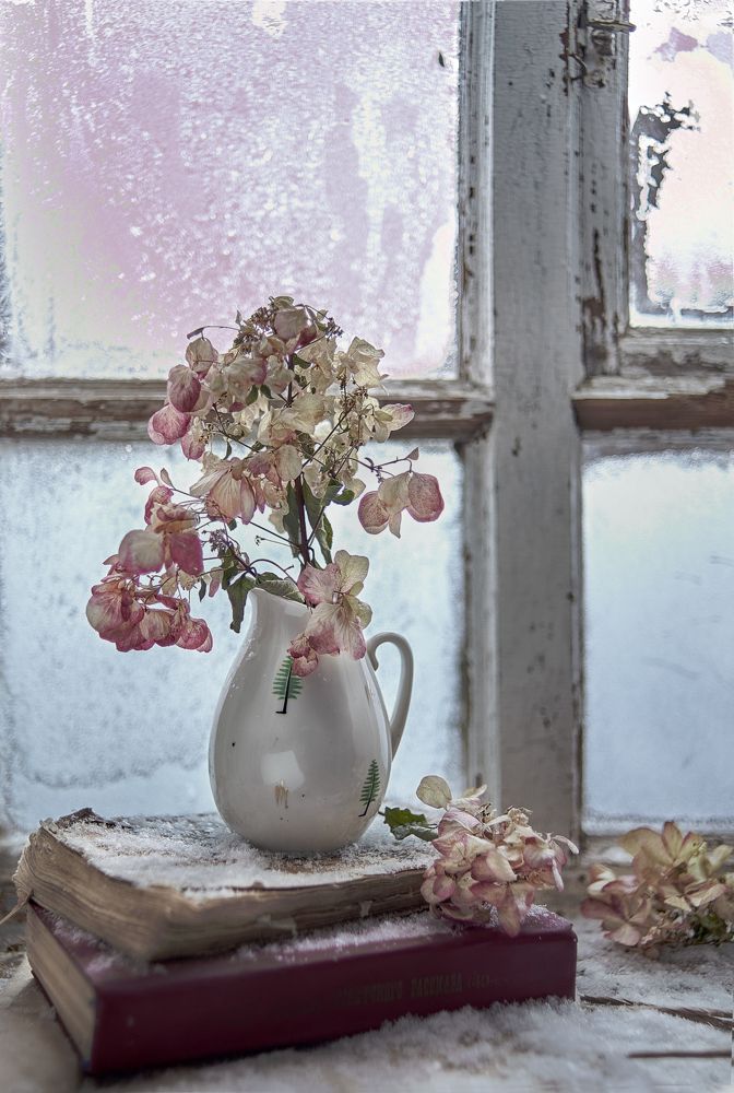 Photograph by Лариса Абрамова