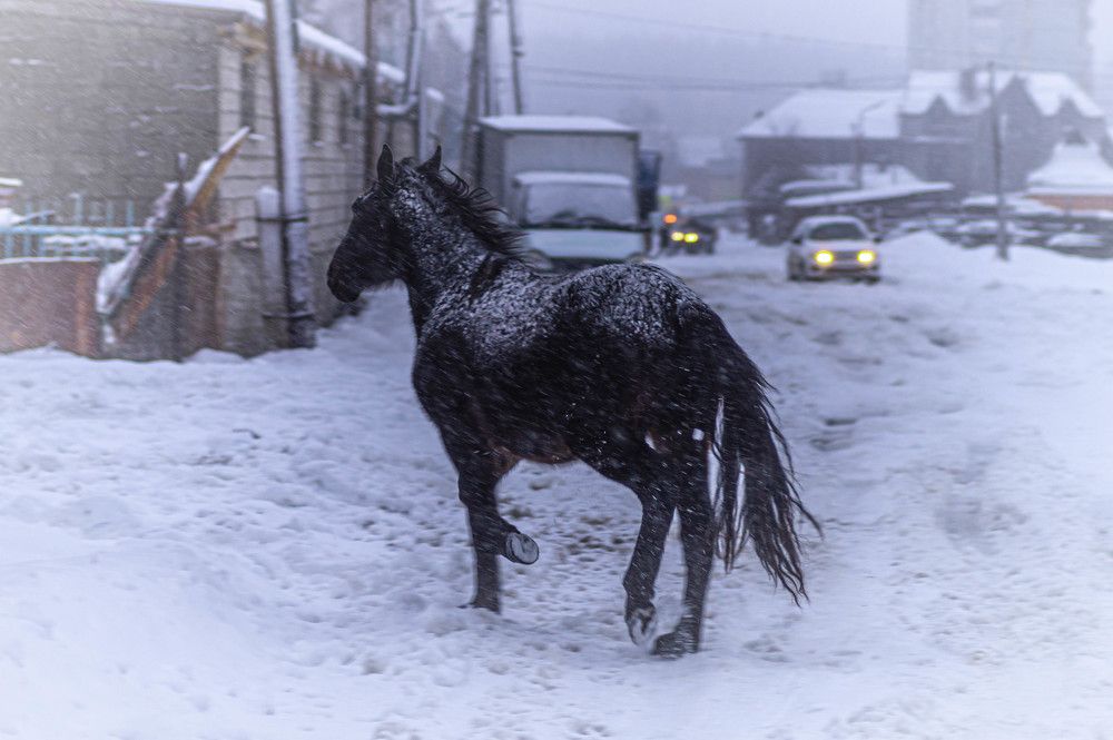 Снежный вечер