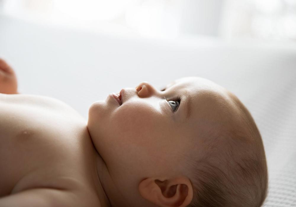 Photograph by Elena Hasnas