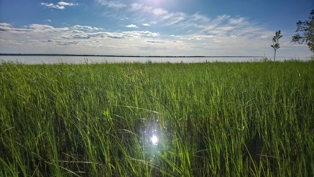 Photograph by Наталья Филатова