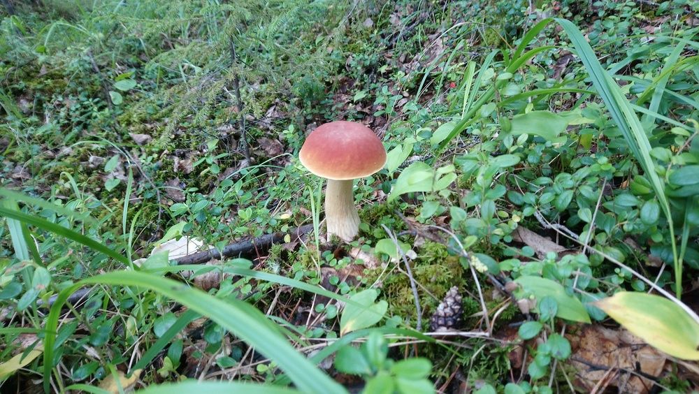 Photograph by Наталья Филатова