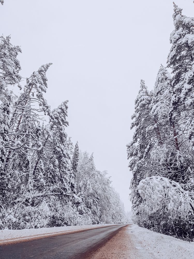 Photograph by Людмила Олеговна