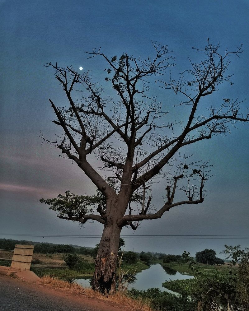Photograph by Abdul-Latif Umar Mohammed