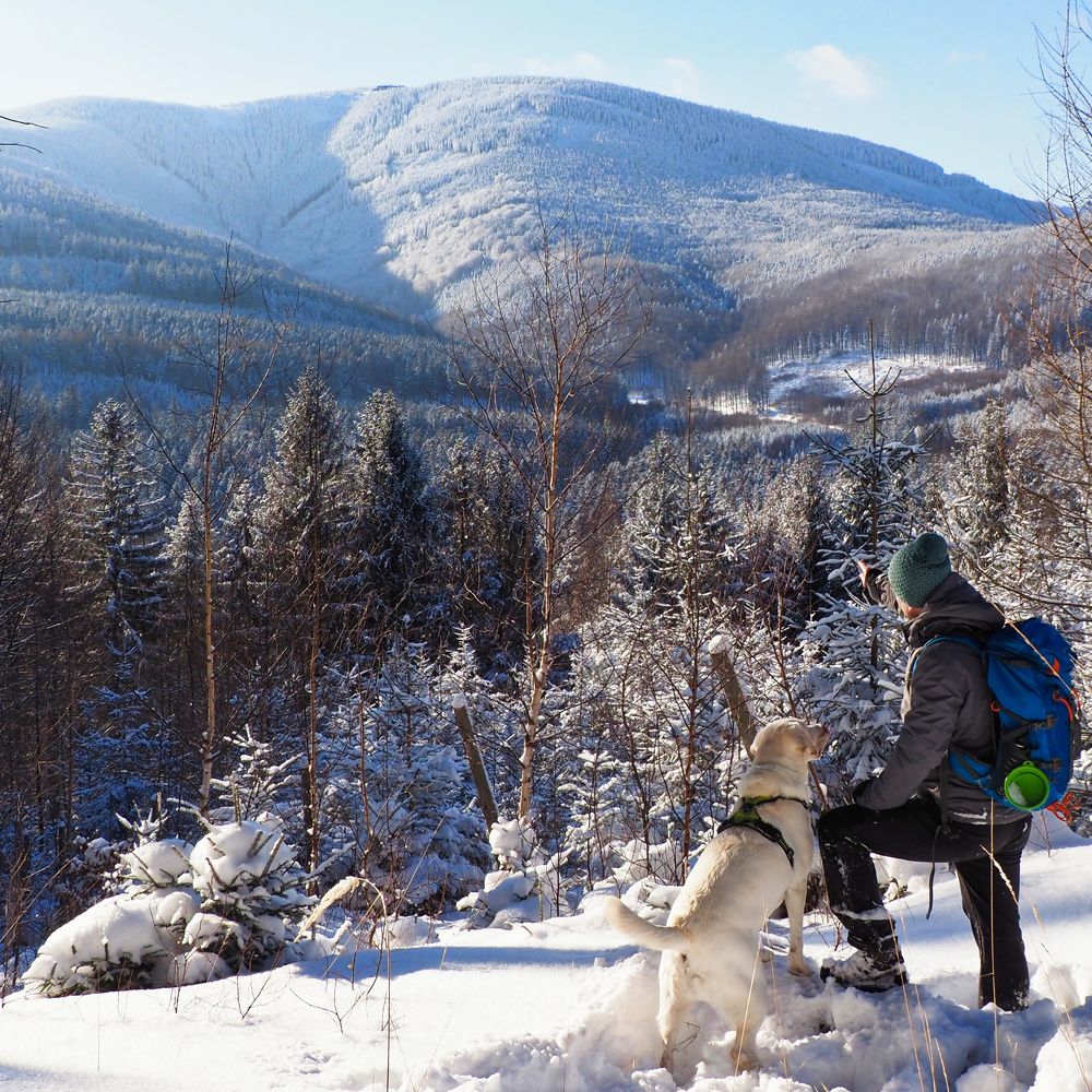 Photograph by Petr Kočica