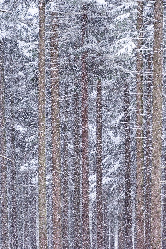 Photograph by Petr Kočica