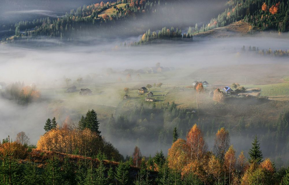Фотография автора Милокост Алексей
