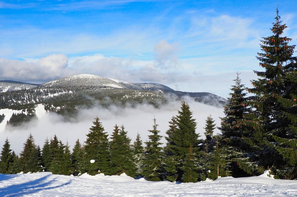 Photograph by Petr Kočica