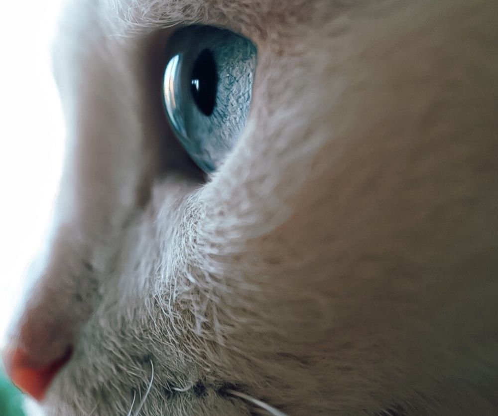 Photograph by Семко Александр