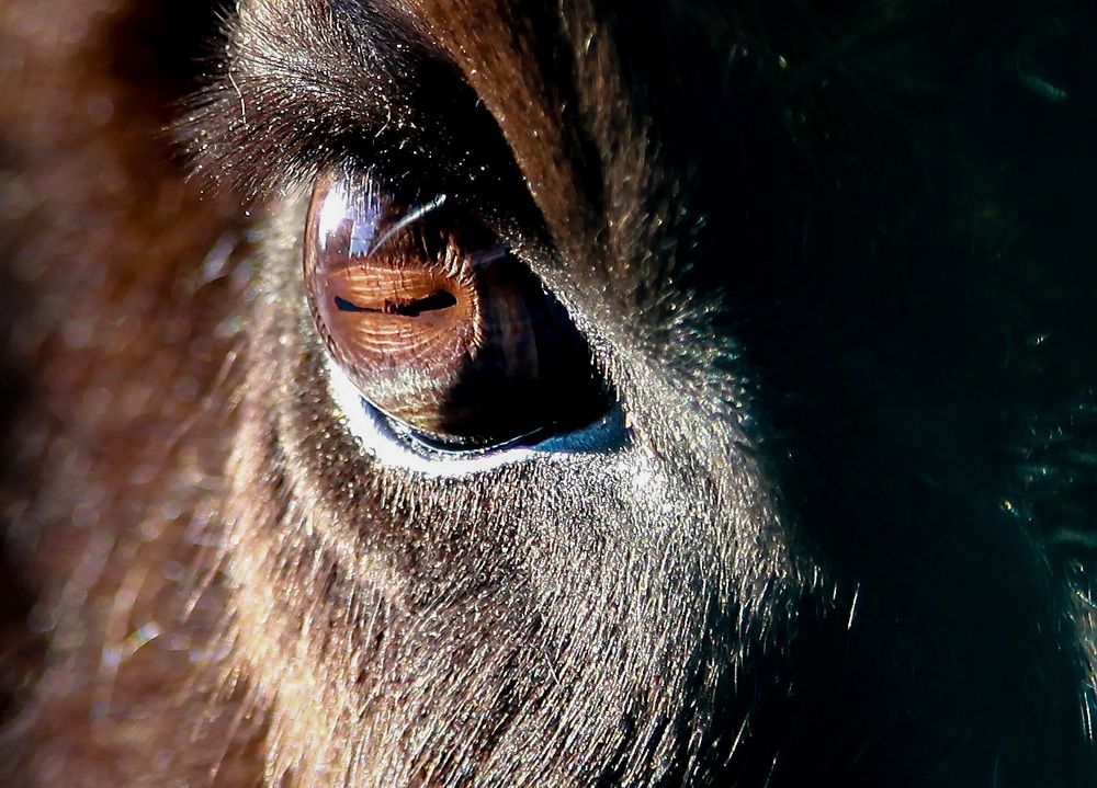 Photograph by Семко Александр