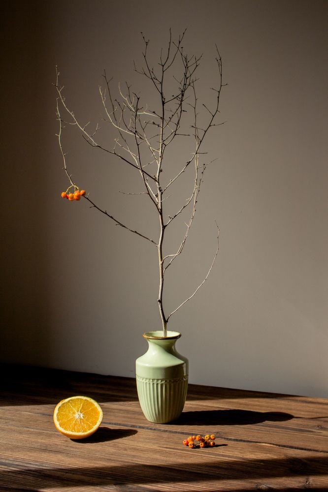 Фотография автора Ольга Хиневич