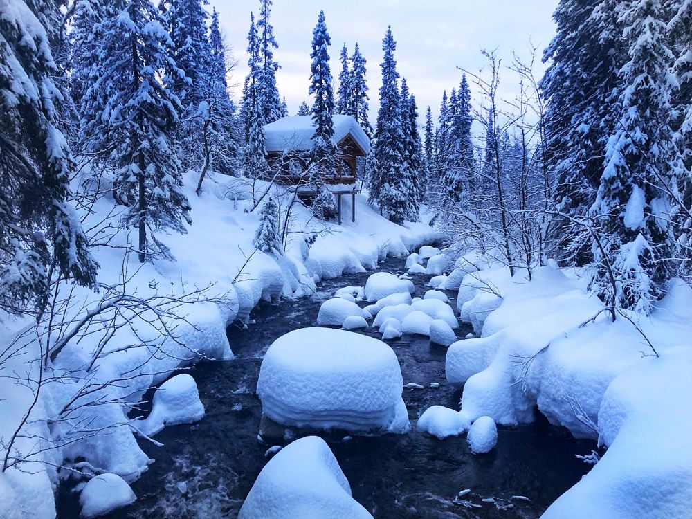 Photograph by Ирина Кудряшова