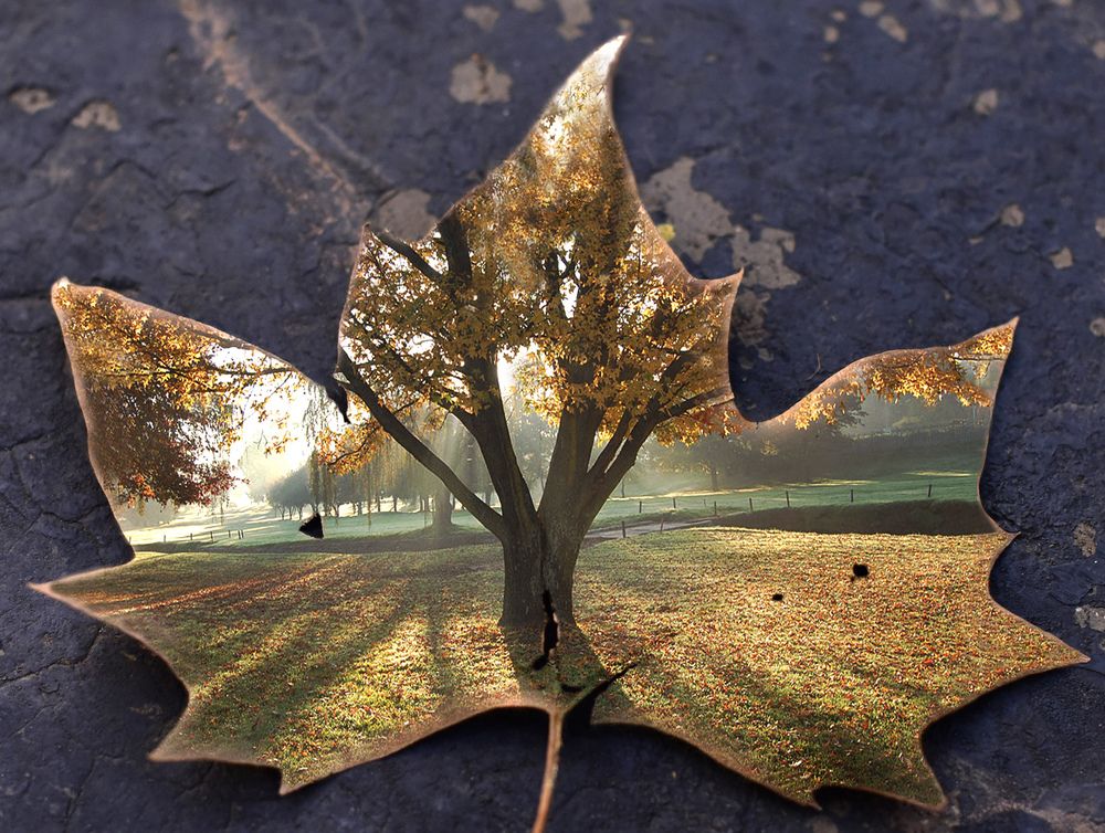 Photograph by Heidi Broschk