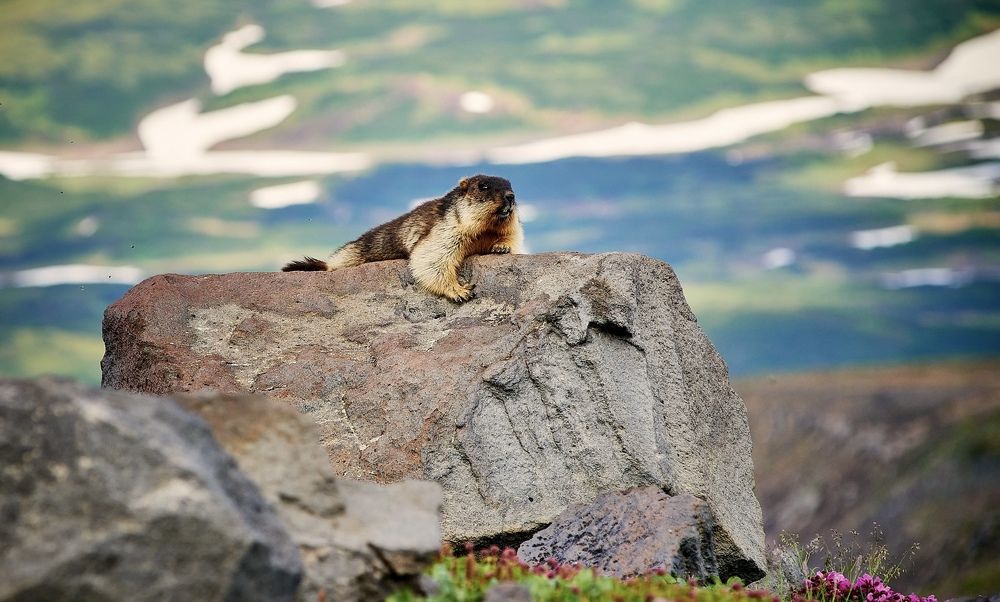 Photograph by Алексей Мяленко
