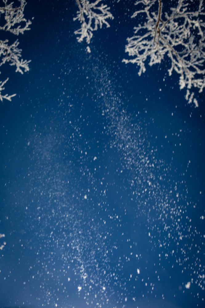 Photograph by Ольга Сафронова