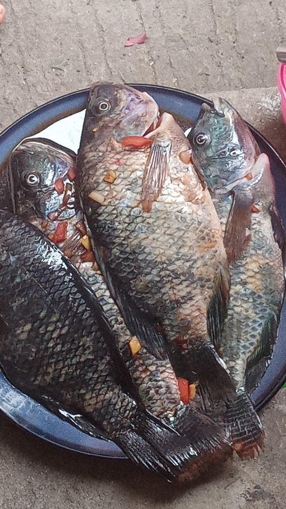 Photo #5692428