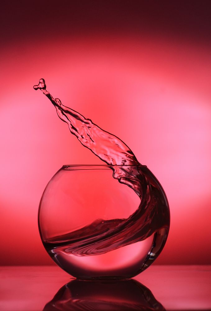 Движение это жизнь!