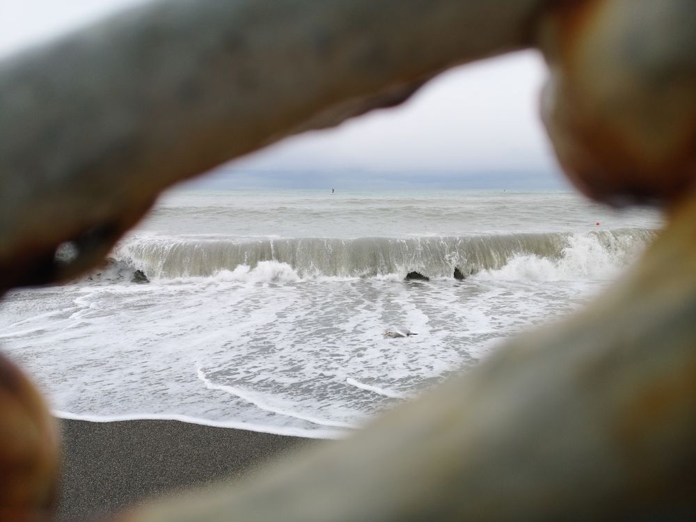 Photograph by Ирина Алексеевская