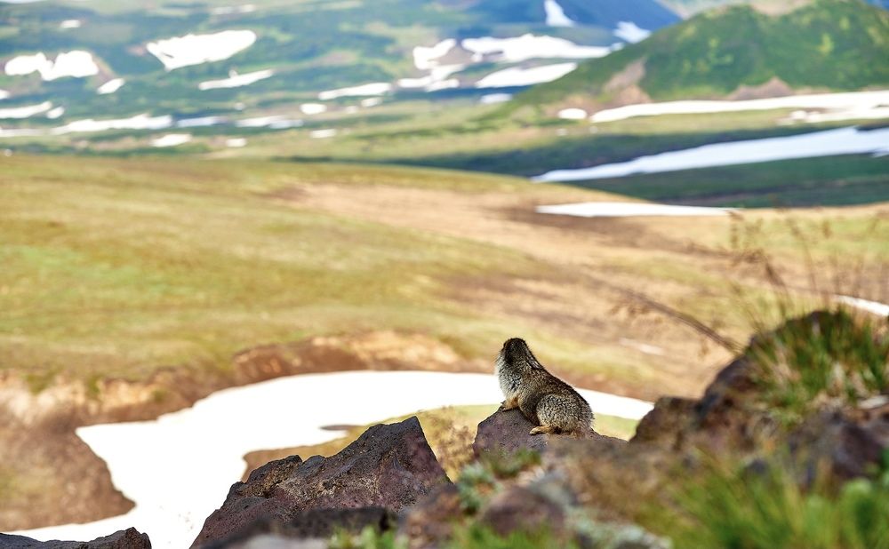 Photograph by Алексей Мяленко