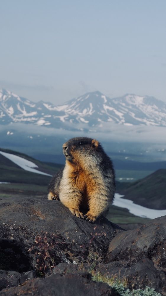 Photograph by Алексей Мяленко