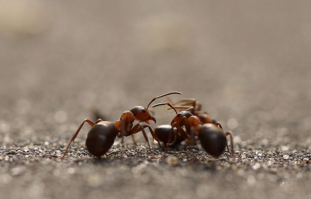 Photograph by Тим Талер