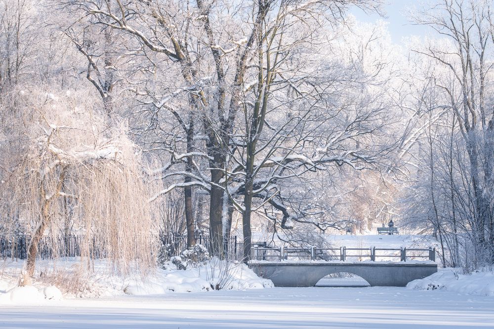 Фотография автора Michał Tomczak