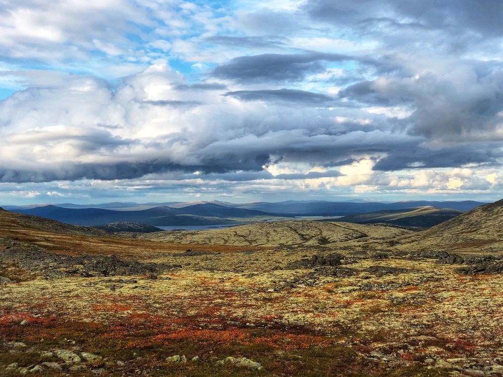 Осенние краски тундры