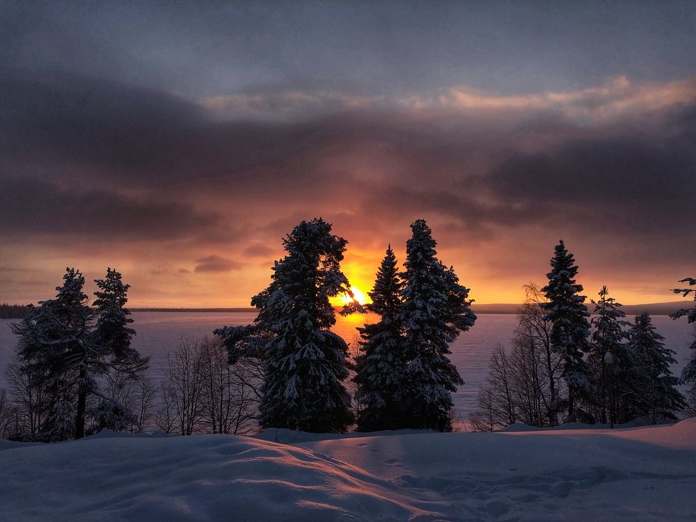 Выход из полярной ночи