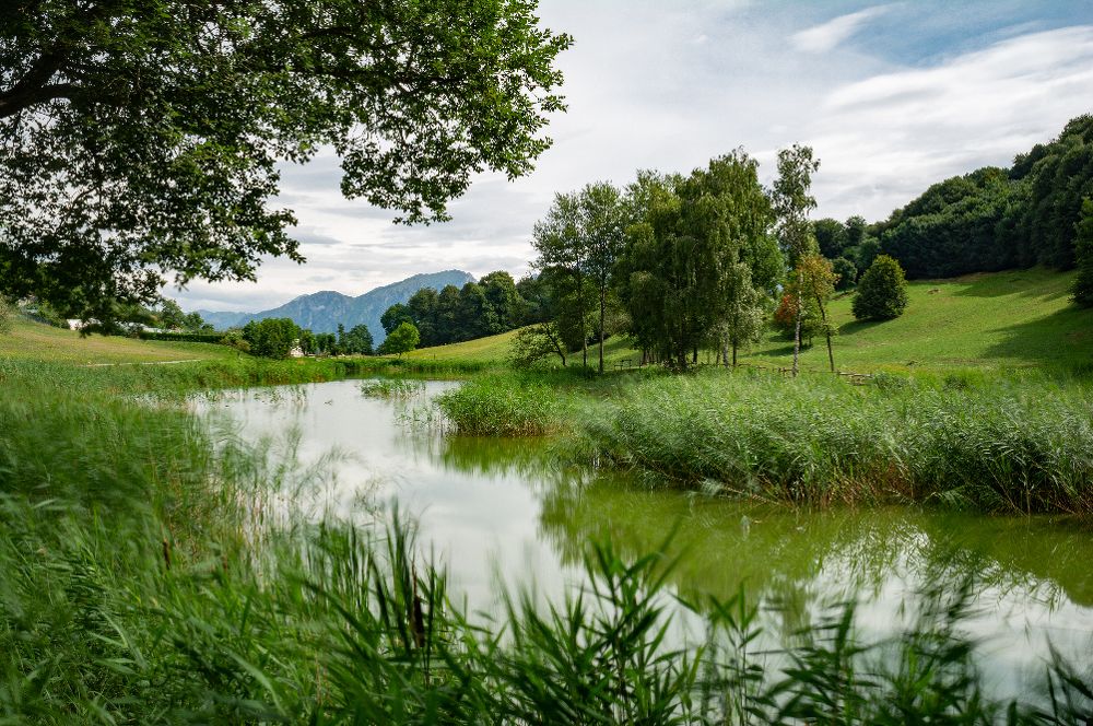 Mountain lake Crezzo