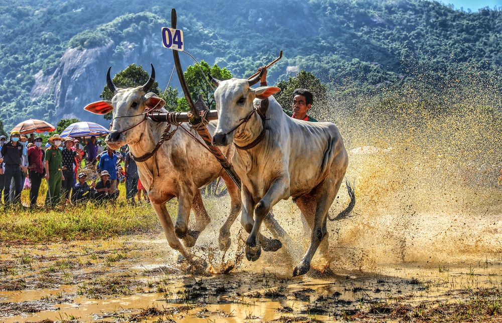 Photograph by Tính Nguyễn