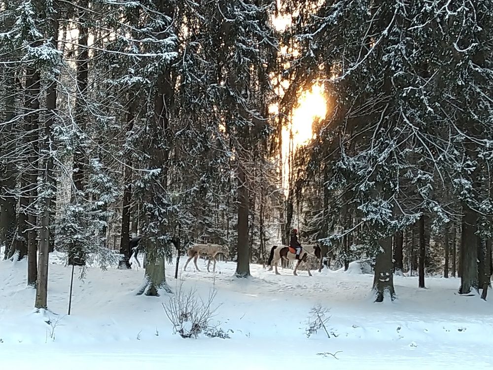 Photo #5692601