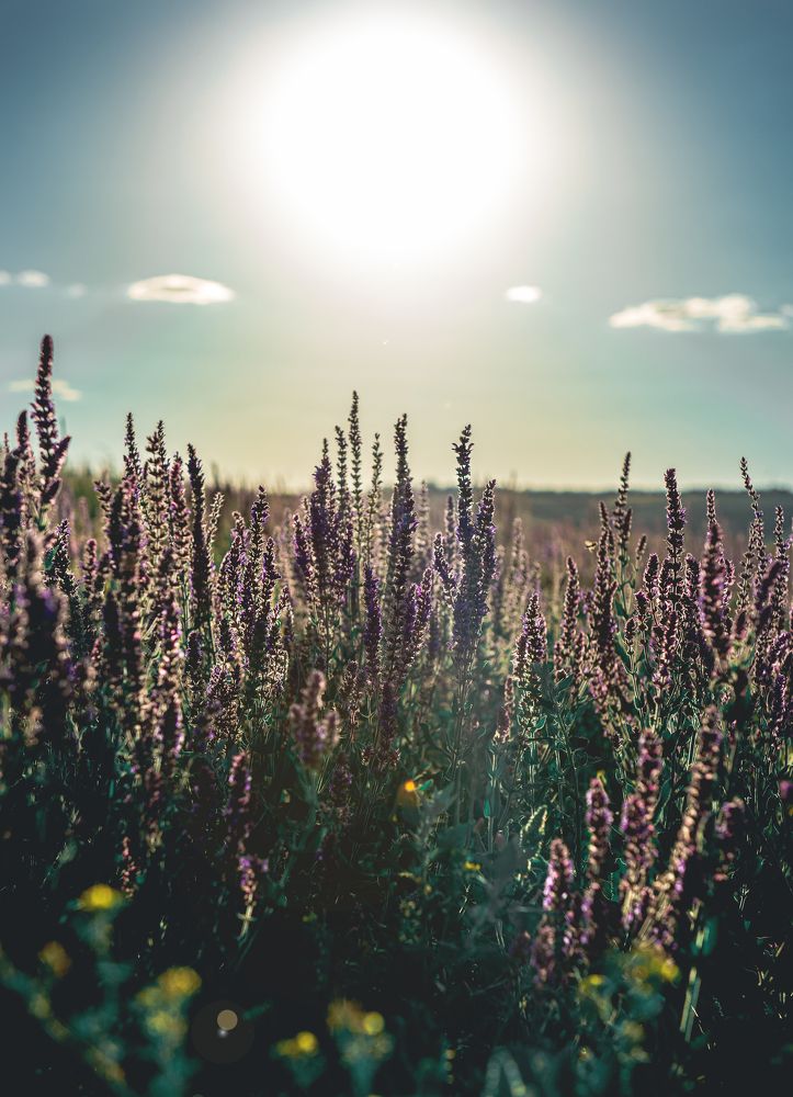 Волгоградская область