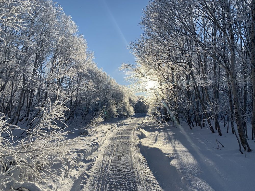 Photograph by Алексей Мяленко