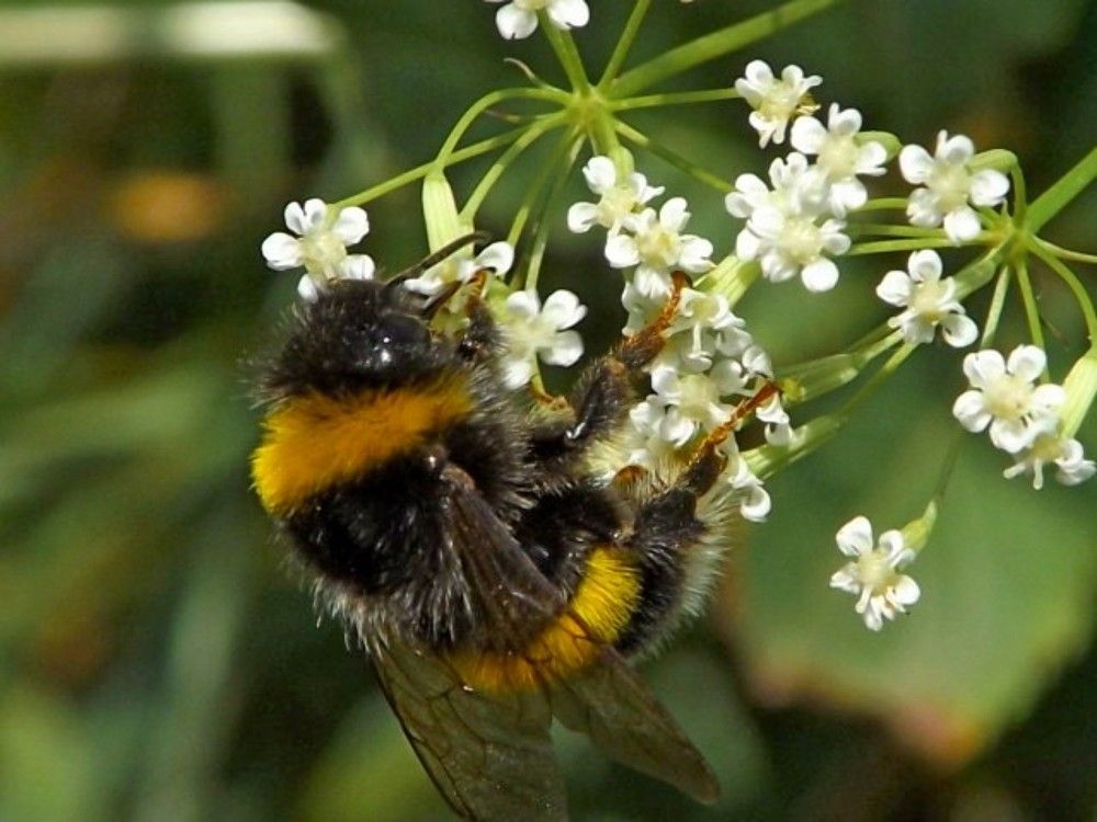 Photograph by Олександр Розум