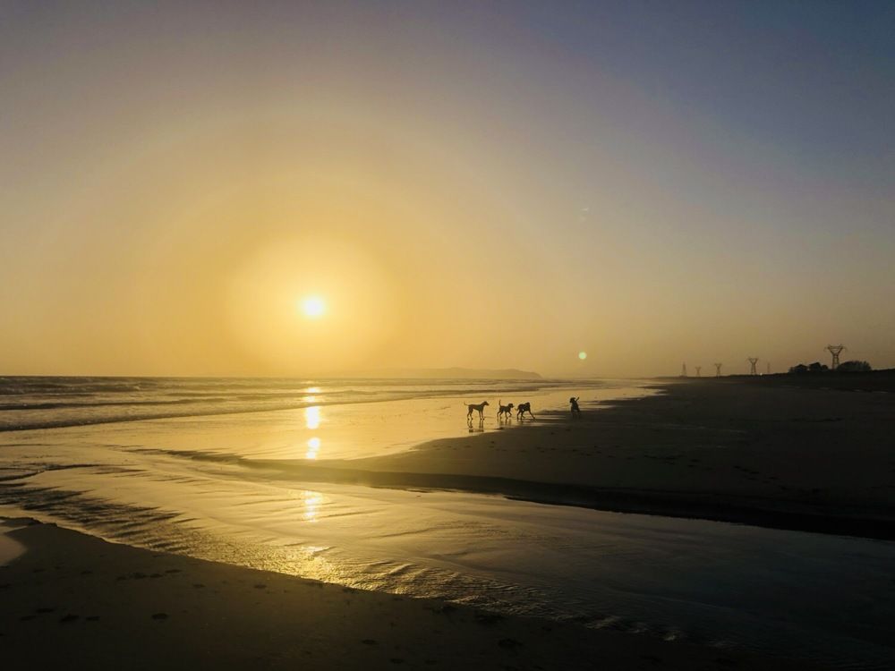 Photograph by Jahaan Gard