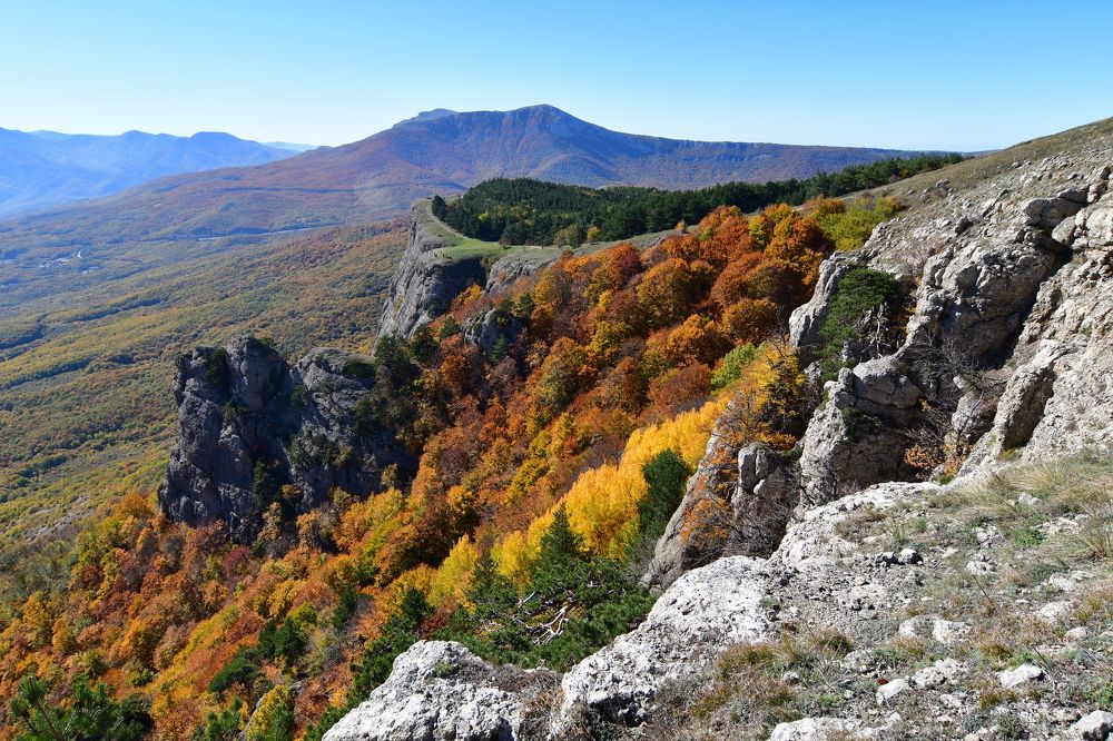 Осень на Димерджи