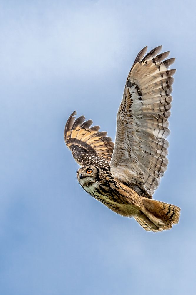 Фотография автора Naveen Kumar