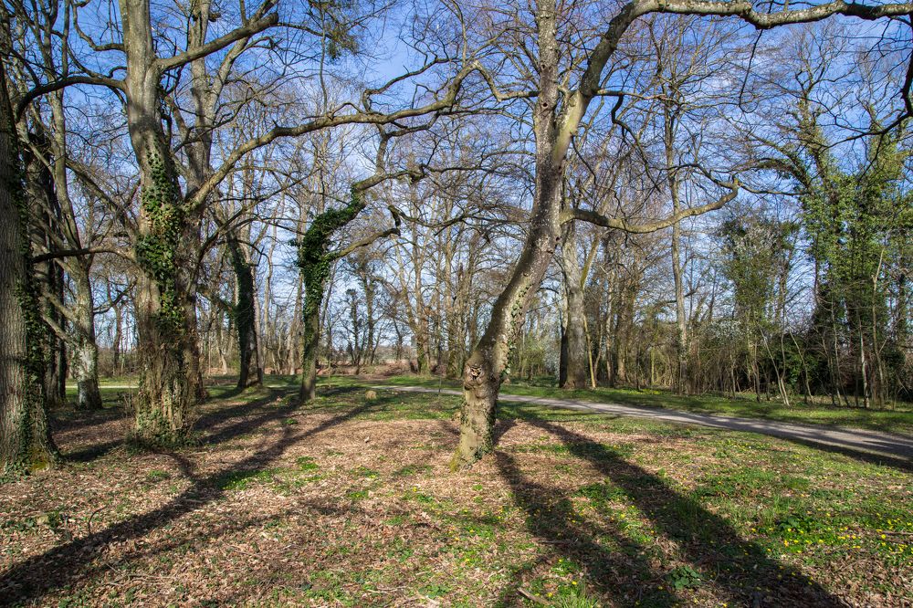 Photograph by Елена Фокина