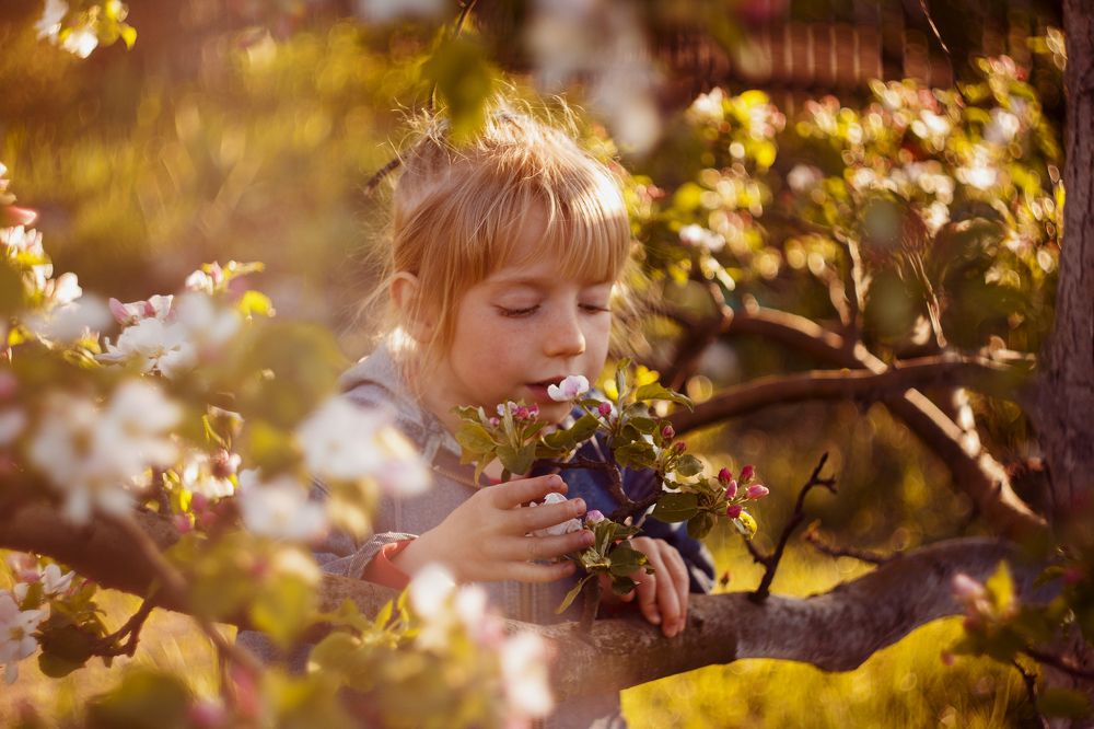 Photograph by Анна