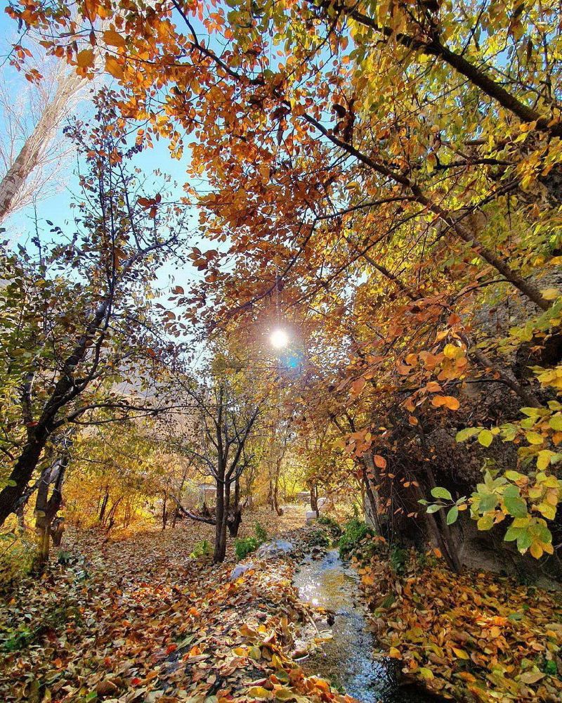 Photograph by Behrouz Kholousi