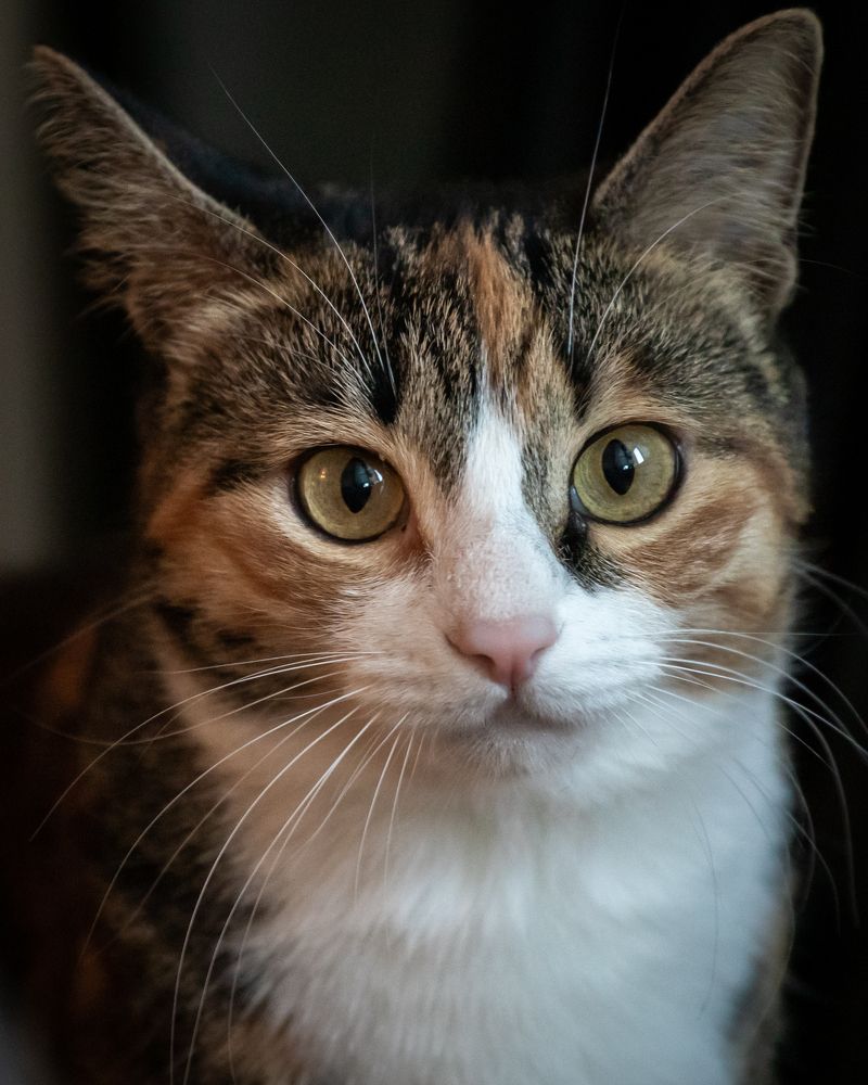 Photograph by Валентин Кольцов