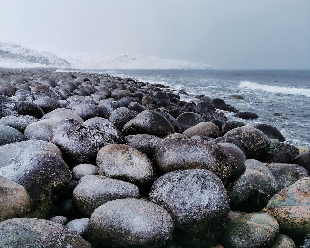 Photograph by Елена Савина