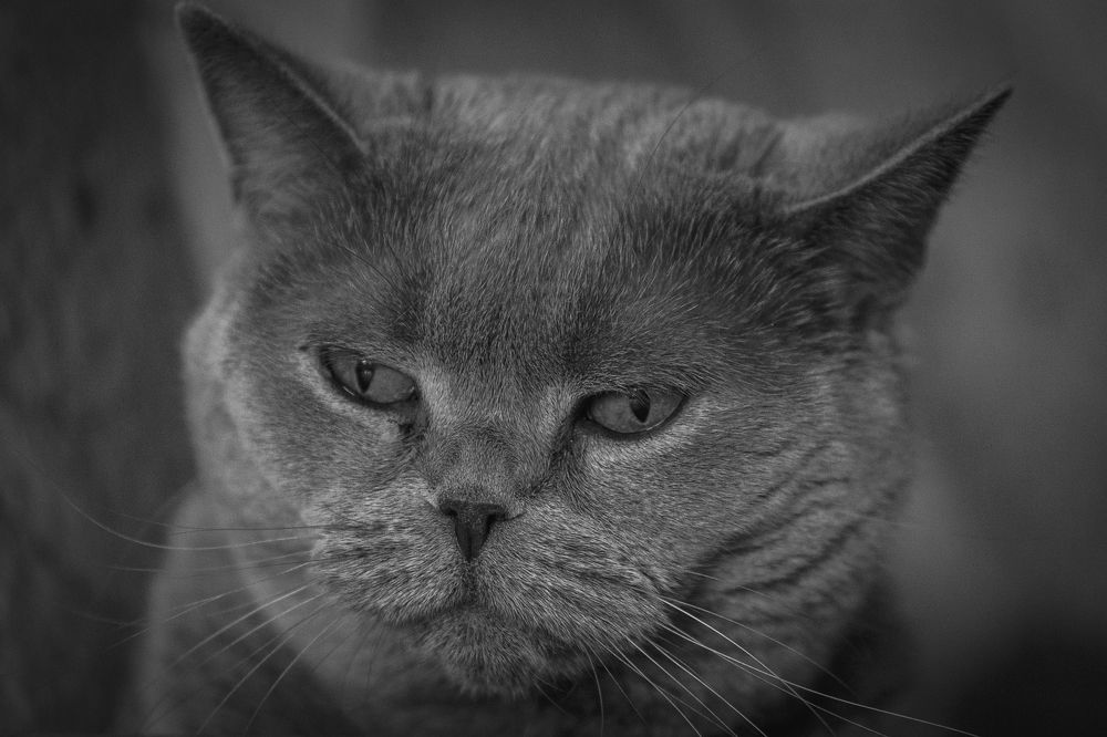 Photograph by Валентин Кольцов