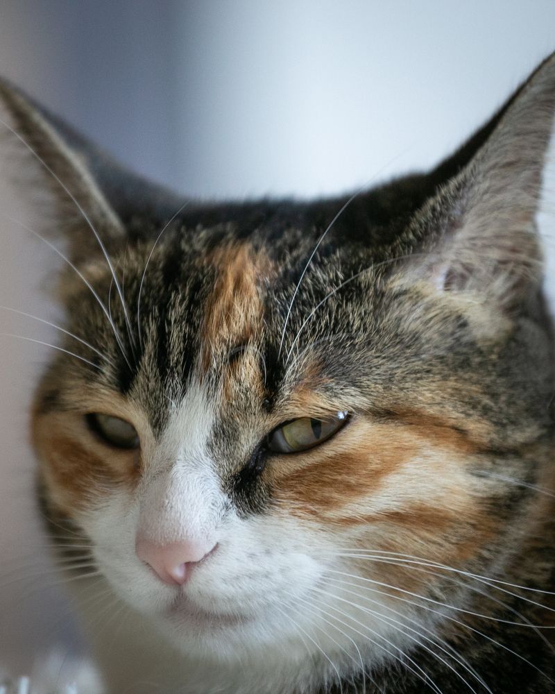 Photograph by Валентин Кольцов