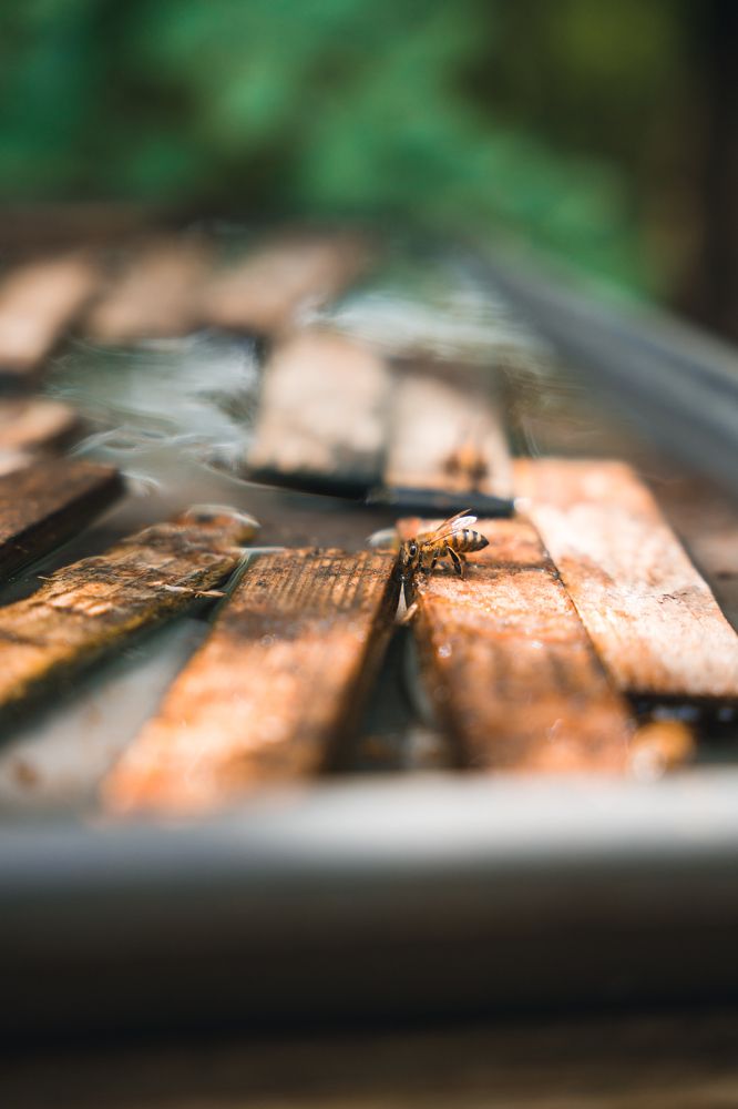 Photograph by Ярослав Надельнюк