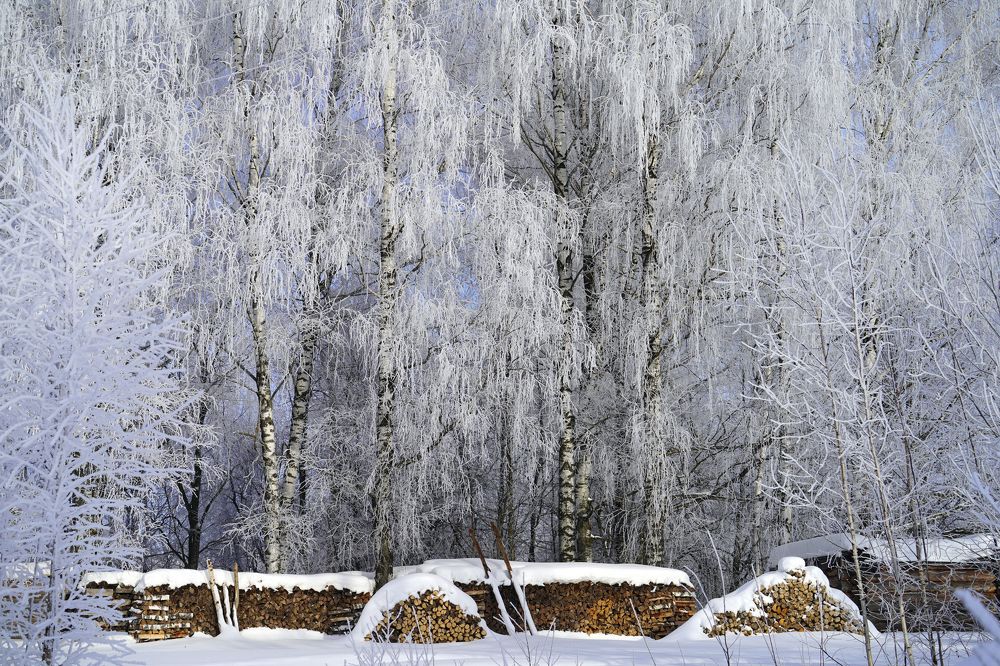 Photograph by Измаил Ефимов