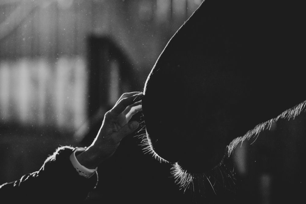 Photograph by Олеся Колитченко