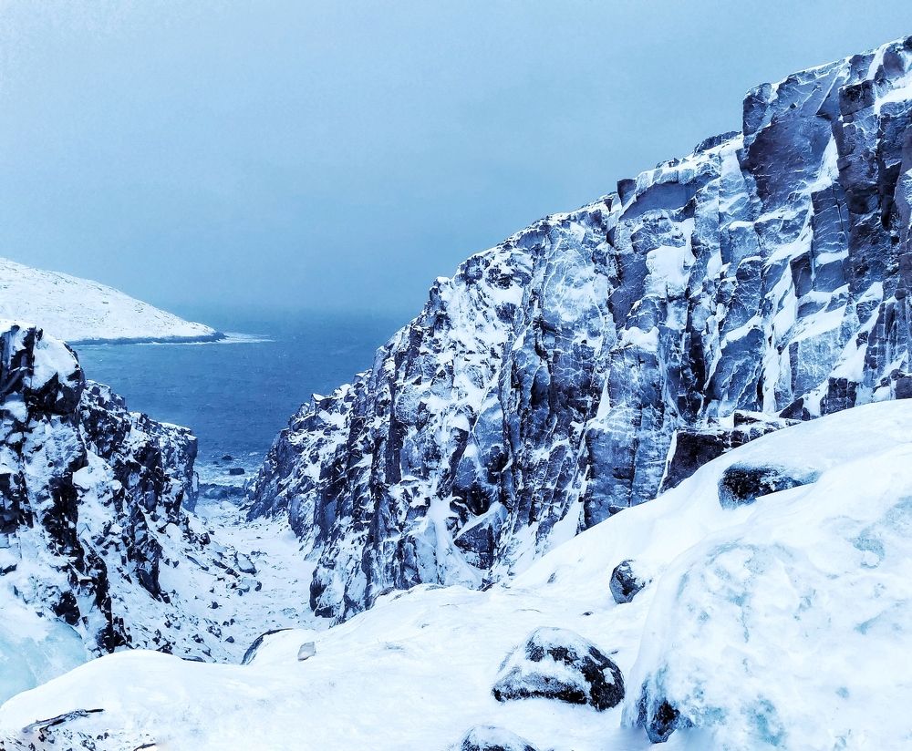 Photograph by Елена Савина