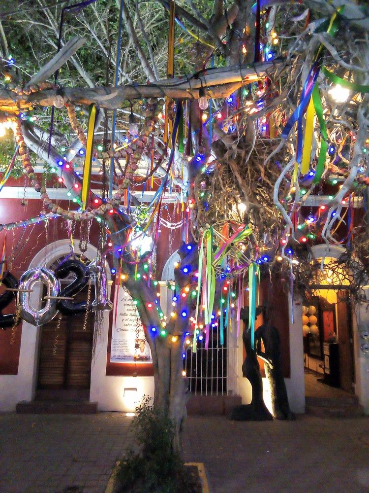 Photograph by José Luis Mendoza Machado